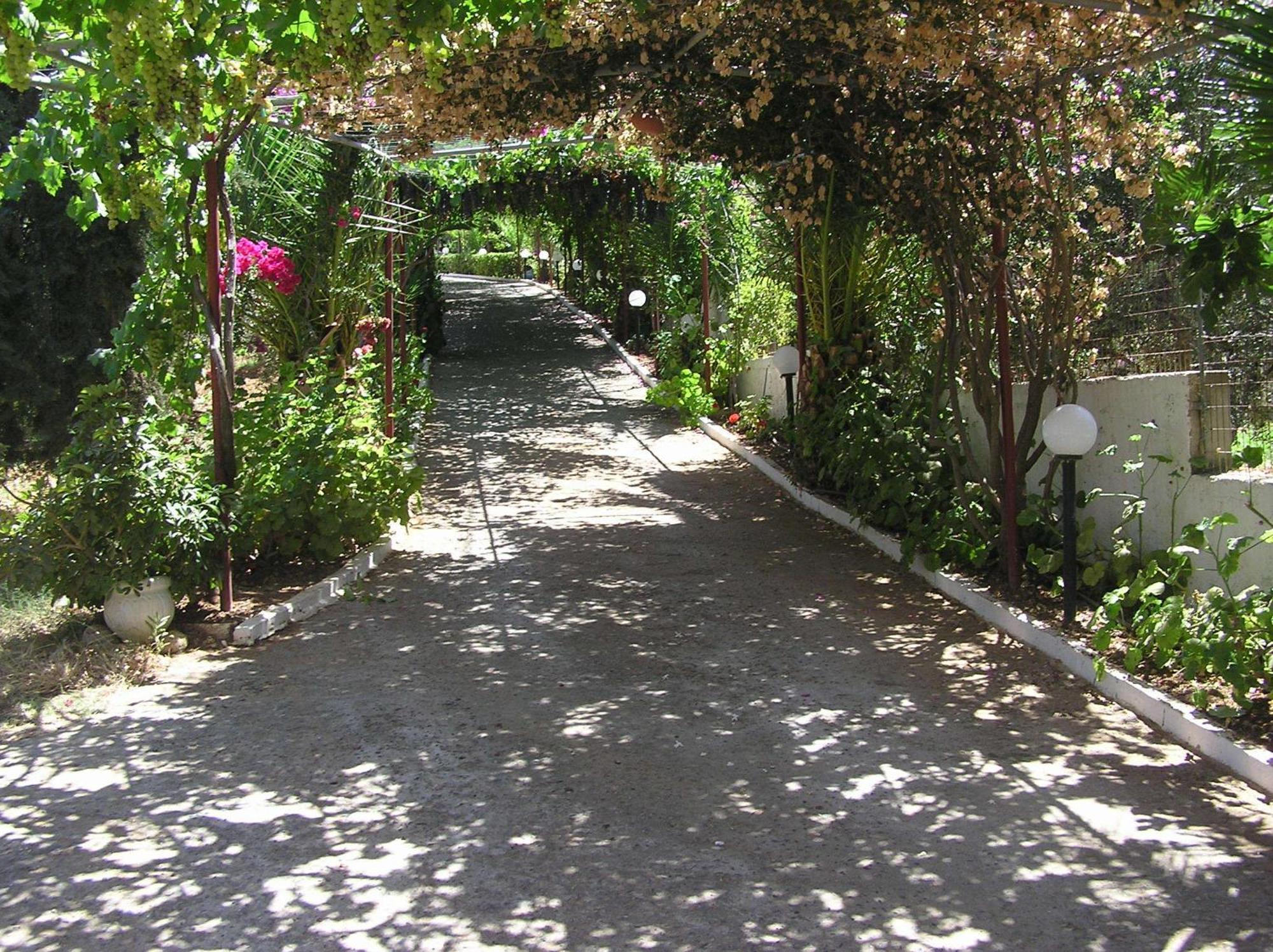 Knossos Aparthotel Panormos  ภายนอก รูปภาพ