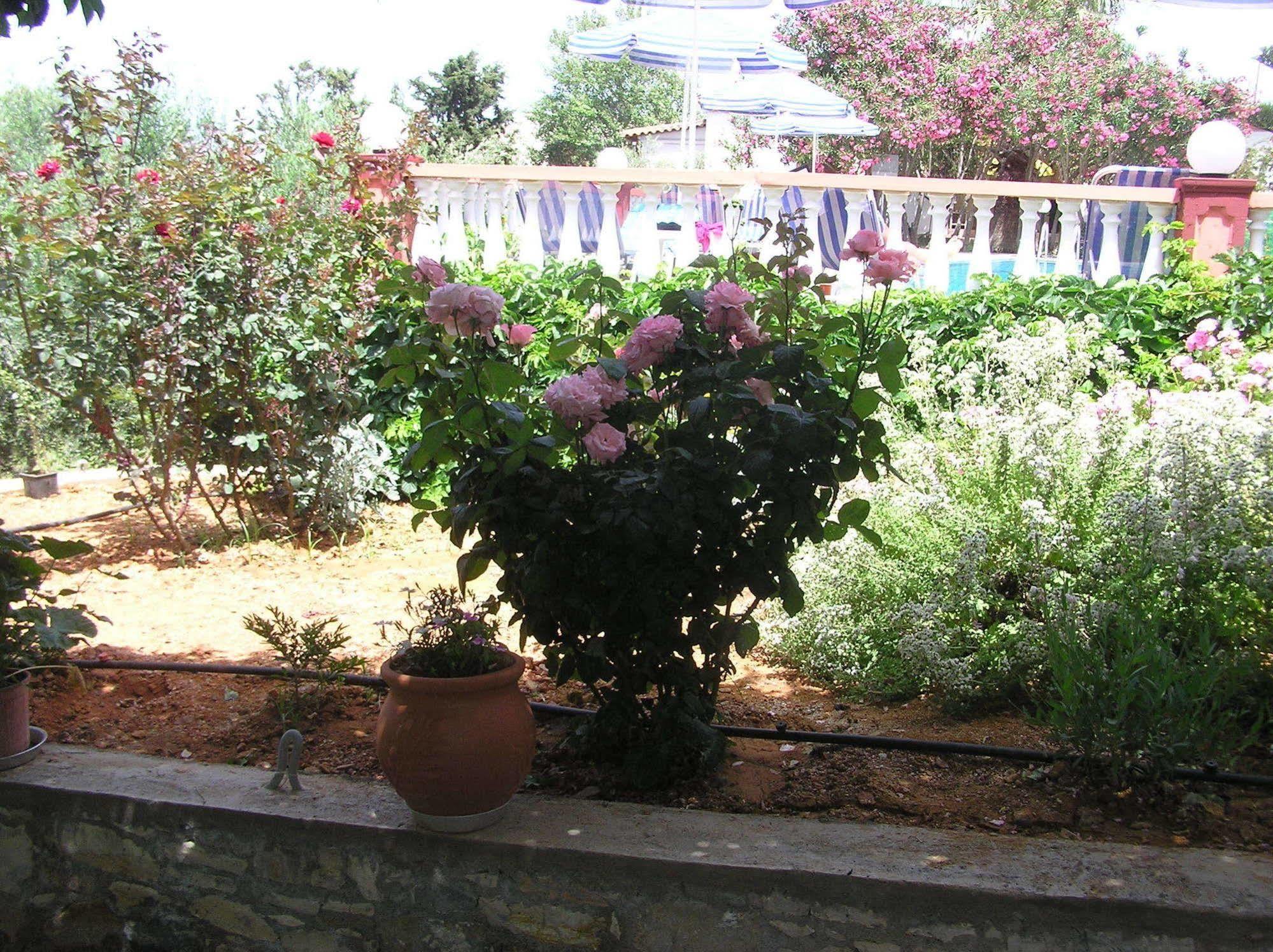 Knossos Aparthotel Panormos  ภายนอก รูปภาพ
